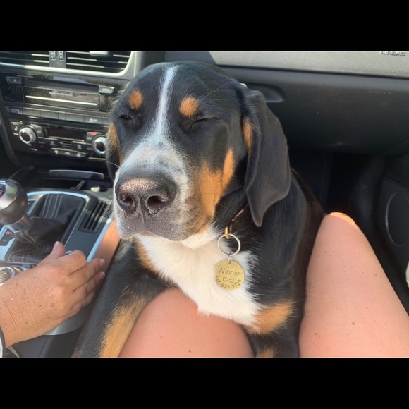 Meet your Posher, Sarah - Picture 1 of 1